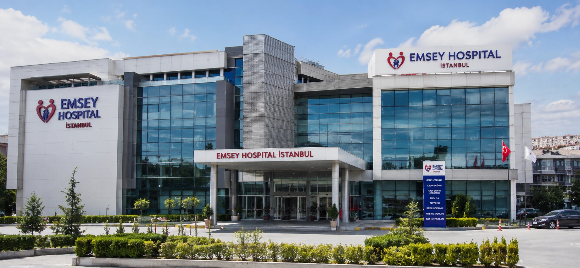 Emsey Hospital, Pendik, Istanbul Image